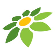 LINK KAYA4D